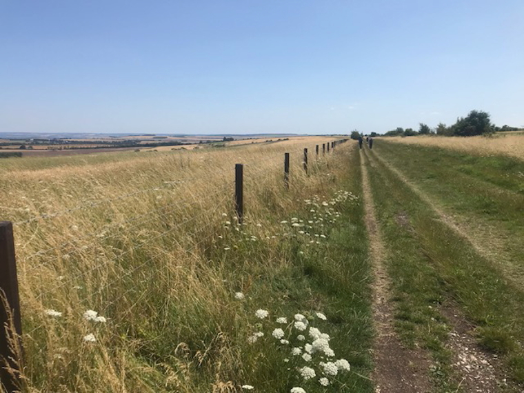United Kingdom England, The Whittington Way, Ridgeway looking East, Walkopedia