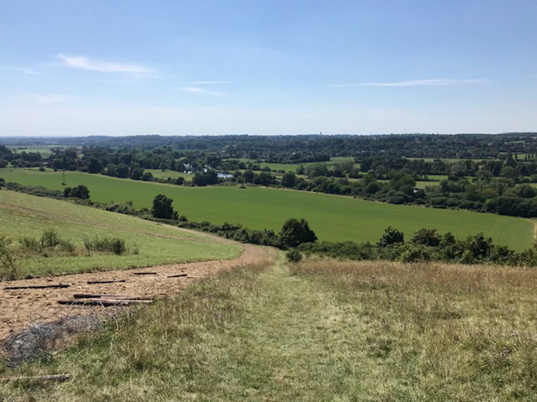 United Kingdom England, The Whittington Way, View from the Chiltern Way overlooking the Thames, Walkopedia
