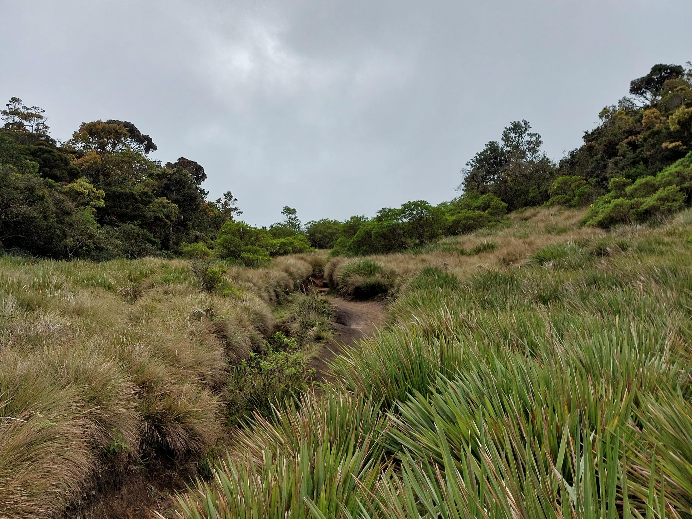 Sri Lanka Central Highlands,  Horton Plains and World's End, , Walkopedia