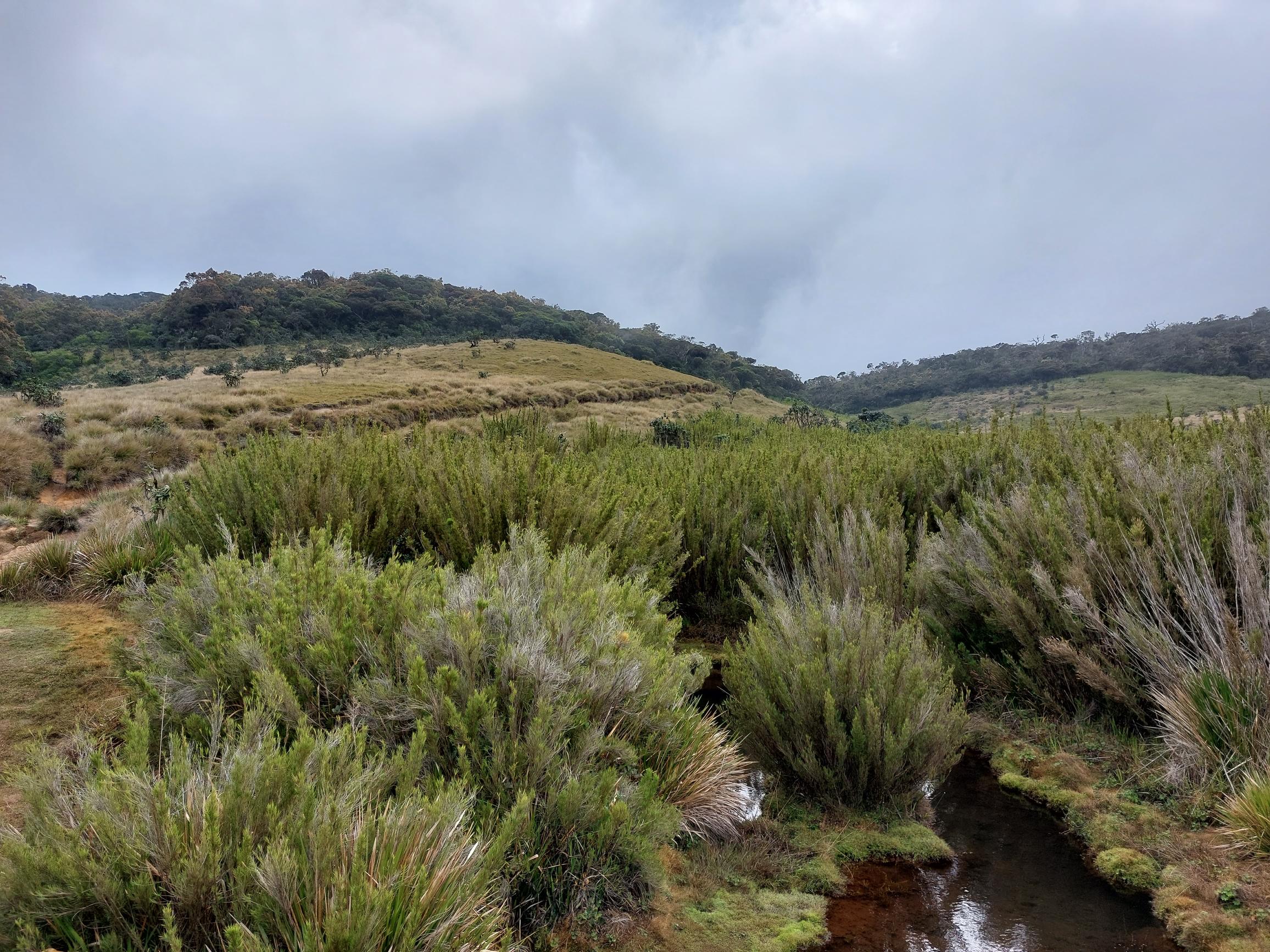 Sri Lanka Central Highlands,  Horton Plains and World's End, , Walkopedia