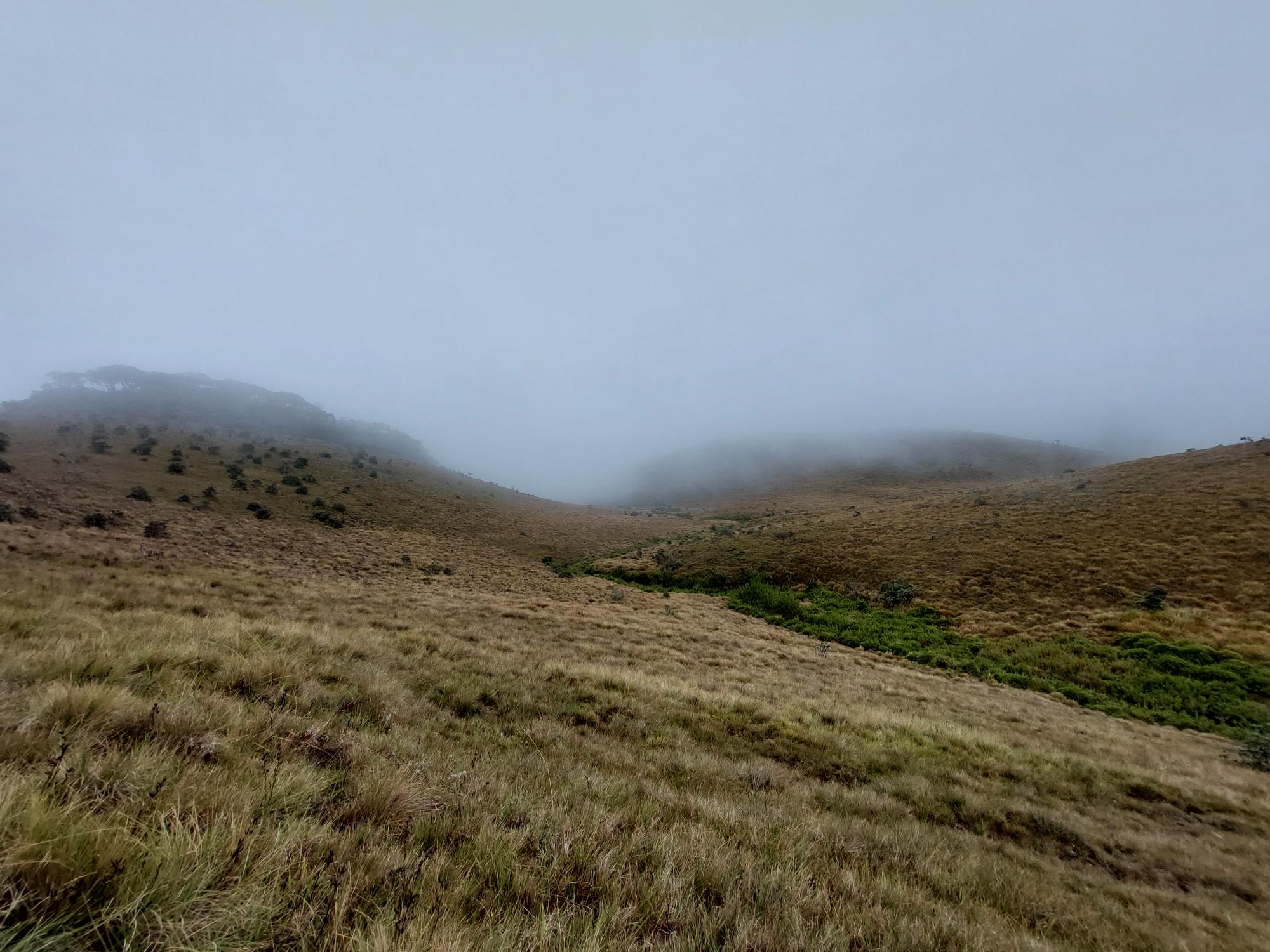 Sri Lanka Central Highlands,  Horton Plains and World's End, , Walkopedia