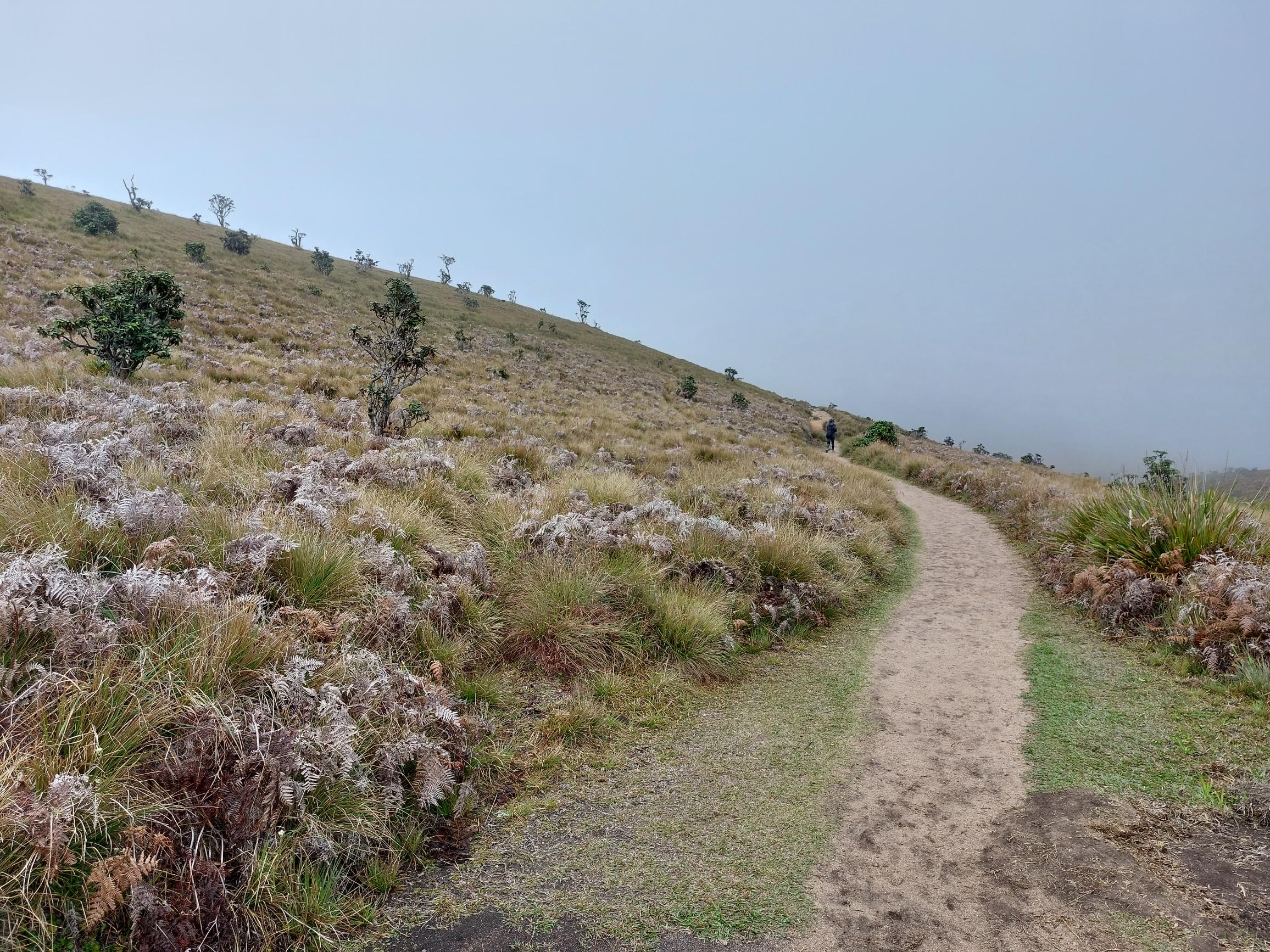 Sri Lanka Central Highlands,  Horton Plains and World's End, , Walkopedia