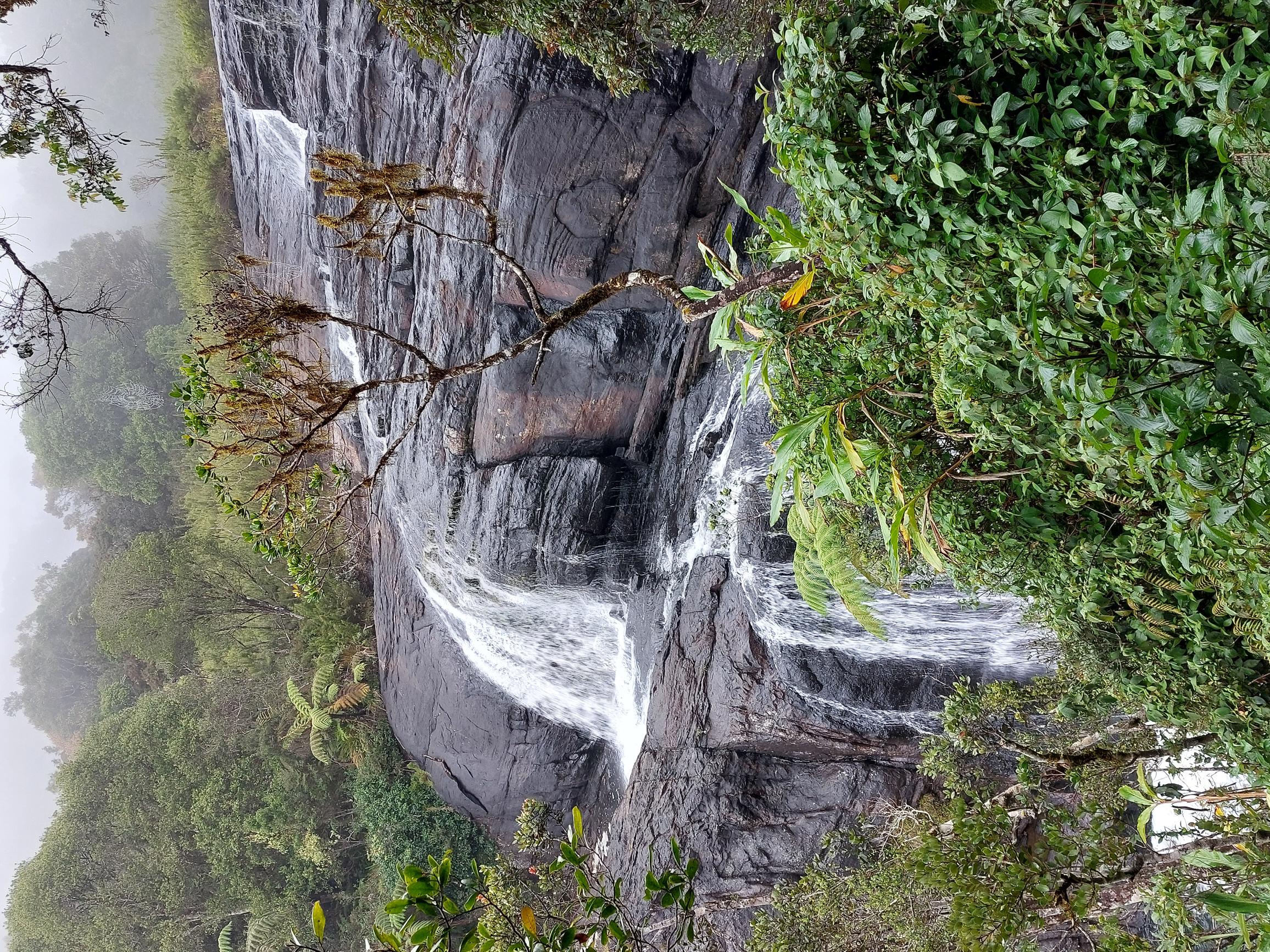 Sri Lanka Central Highlands,  Horton Plains and World's End, , Walkopedia