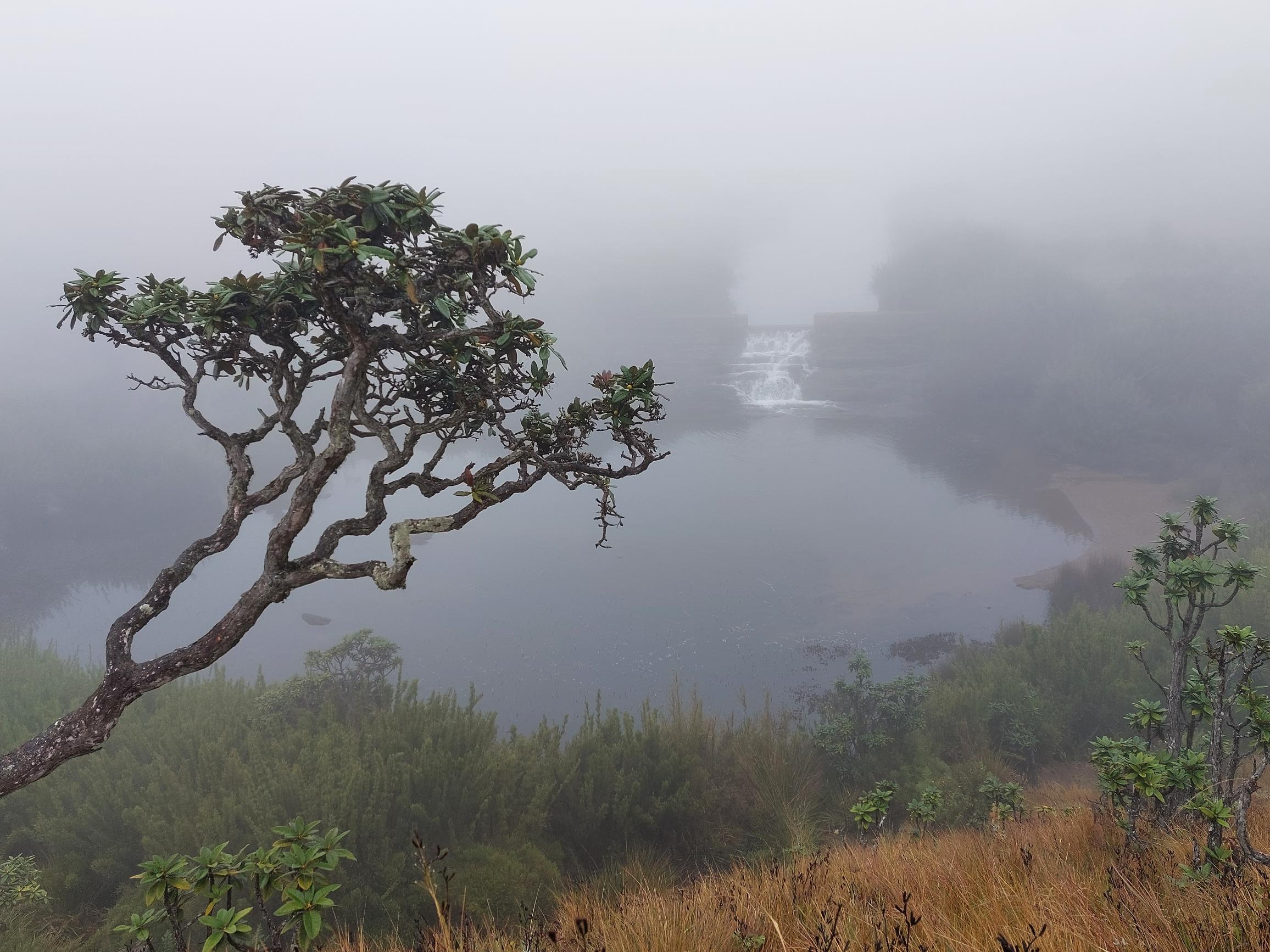 Sri Lanka Central Highlands,  Horton Plains and World's End, , Walkopedia