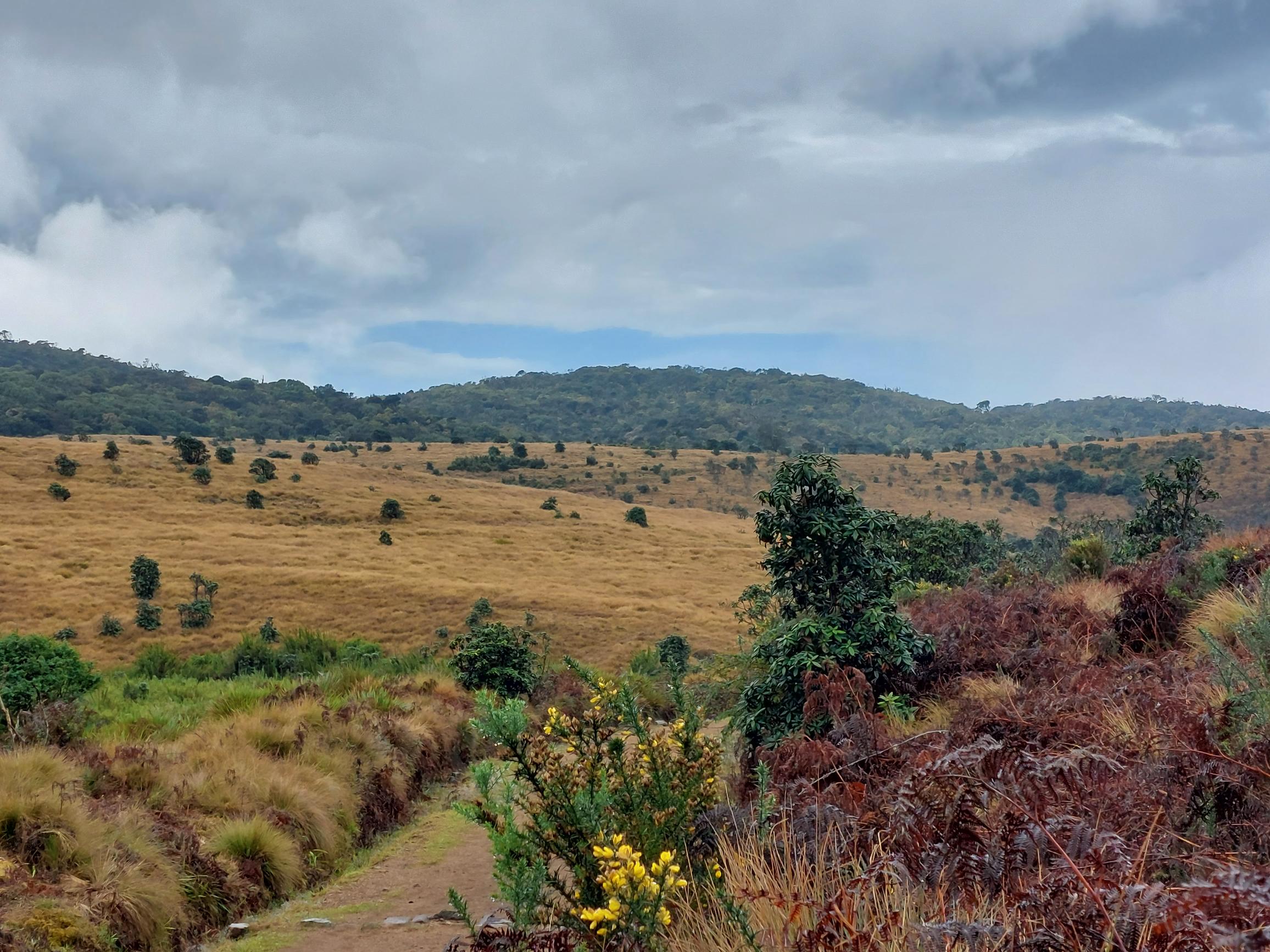 Sri Lanka Central Highlands,  Horton Plains and World's End, , Walkopedia