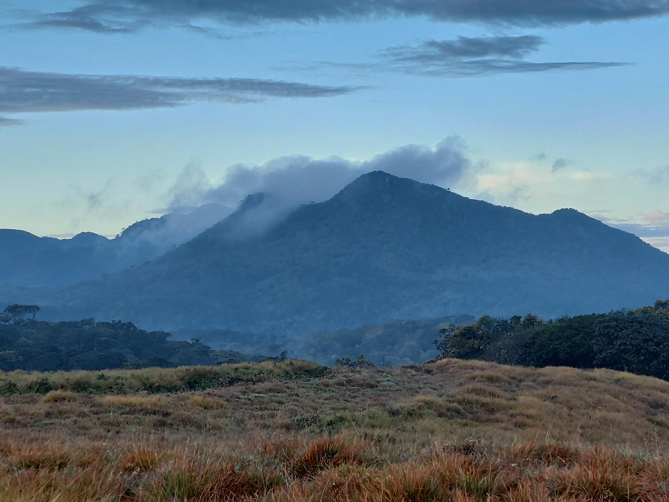 © Horton Plains and World's End: ©