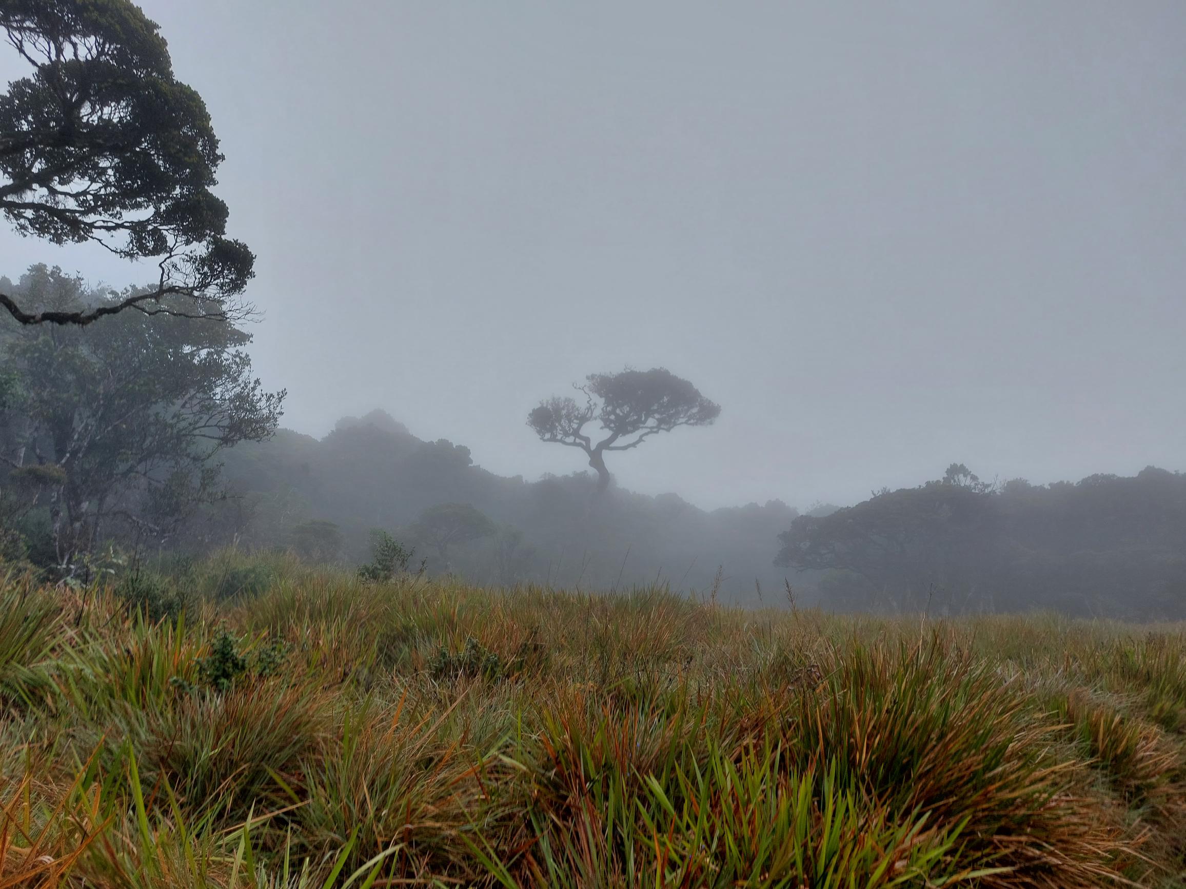 © ... Horton Plains and World's End: © ...