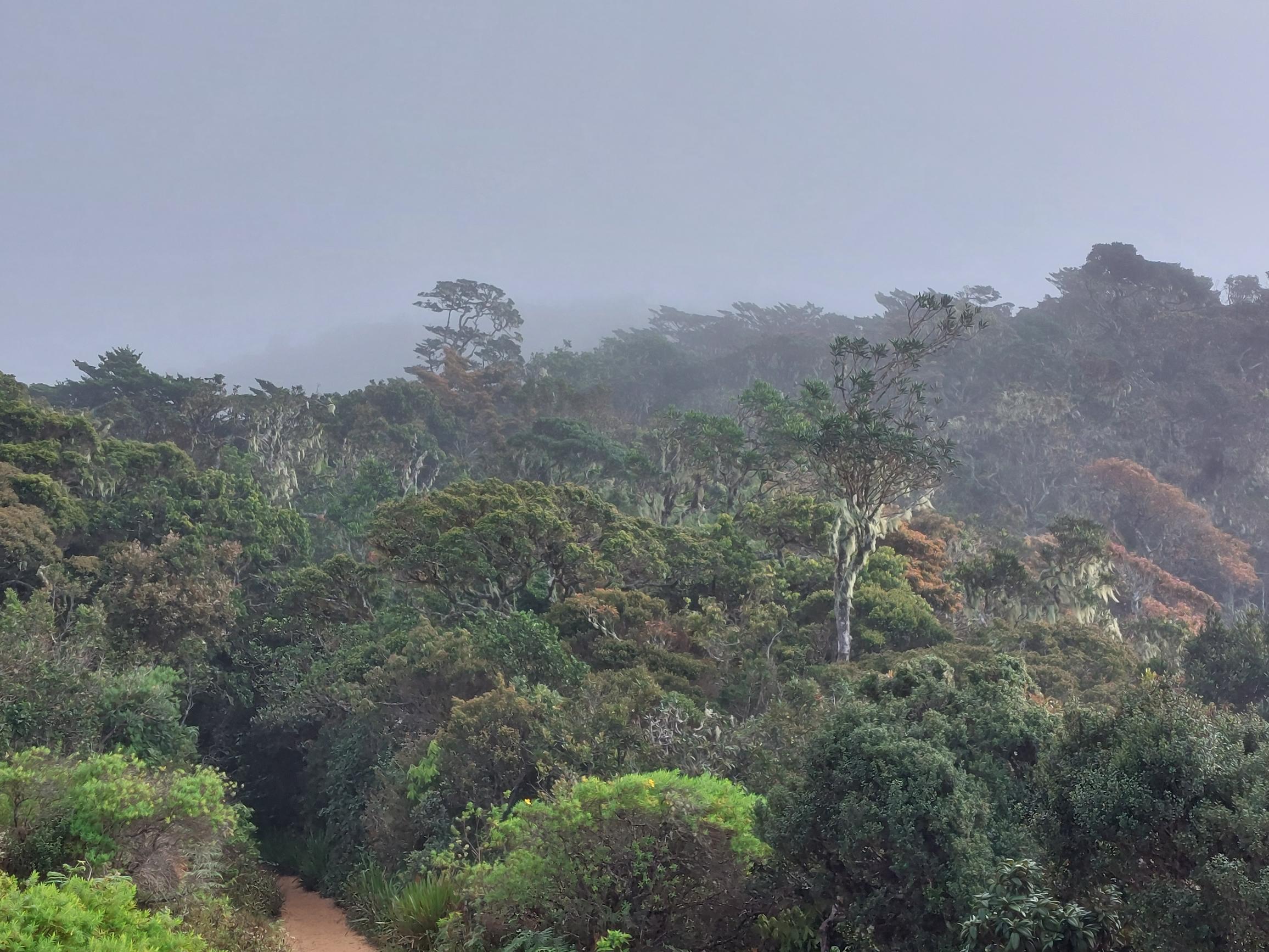 Sri Lanka Central Highlands,  Horton Plains and World's End, , Walkopedia