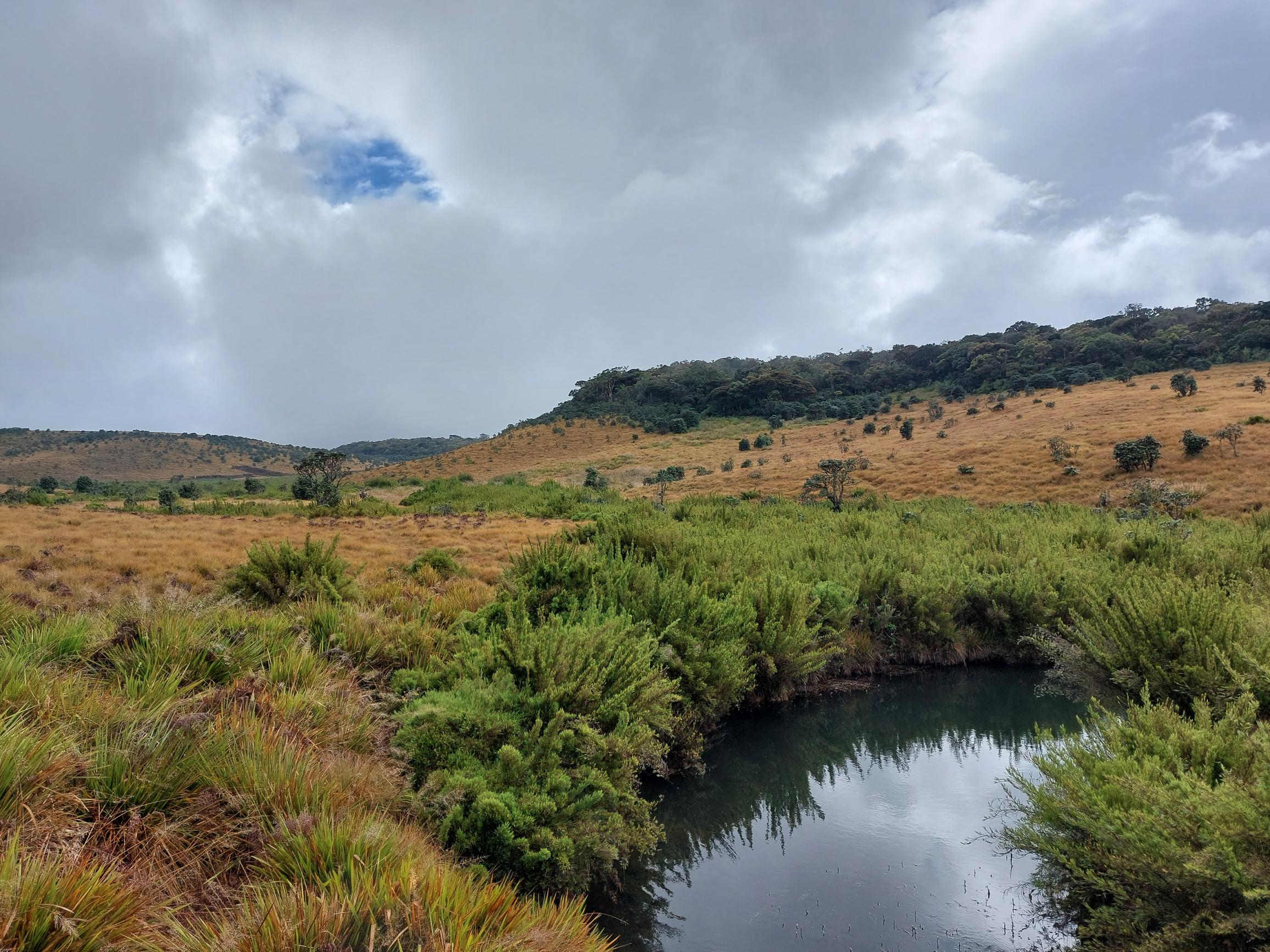 Sri Lanka Central Highlands,  Horton Plains and World's End, Horton Plains, Walkopedia