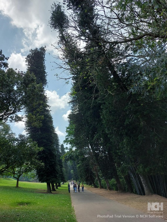 Sri Lanka Central Highlands, Kandy area, Bot Gdns wonky, Walkopedia