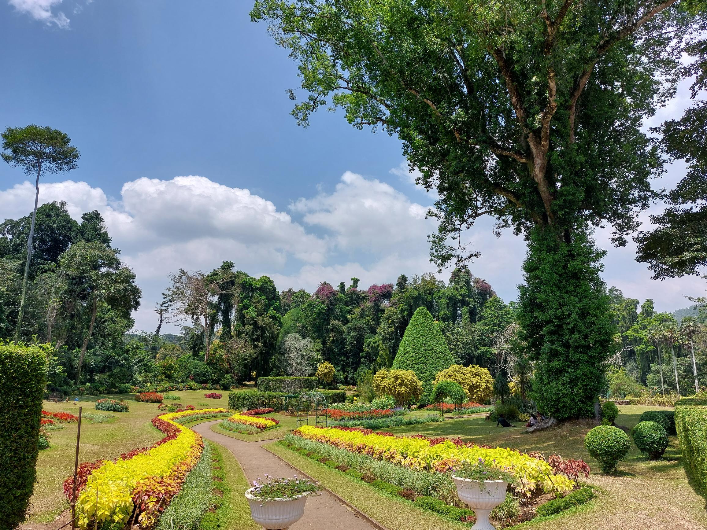 Sri Lanka Central Highlands, Botanical Gardens, Kandy, , Walkopedia