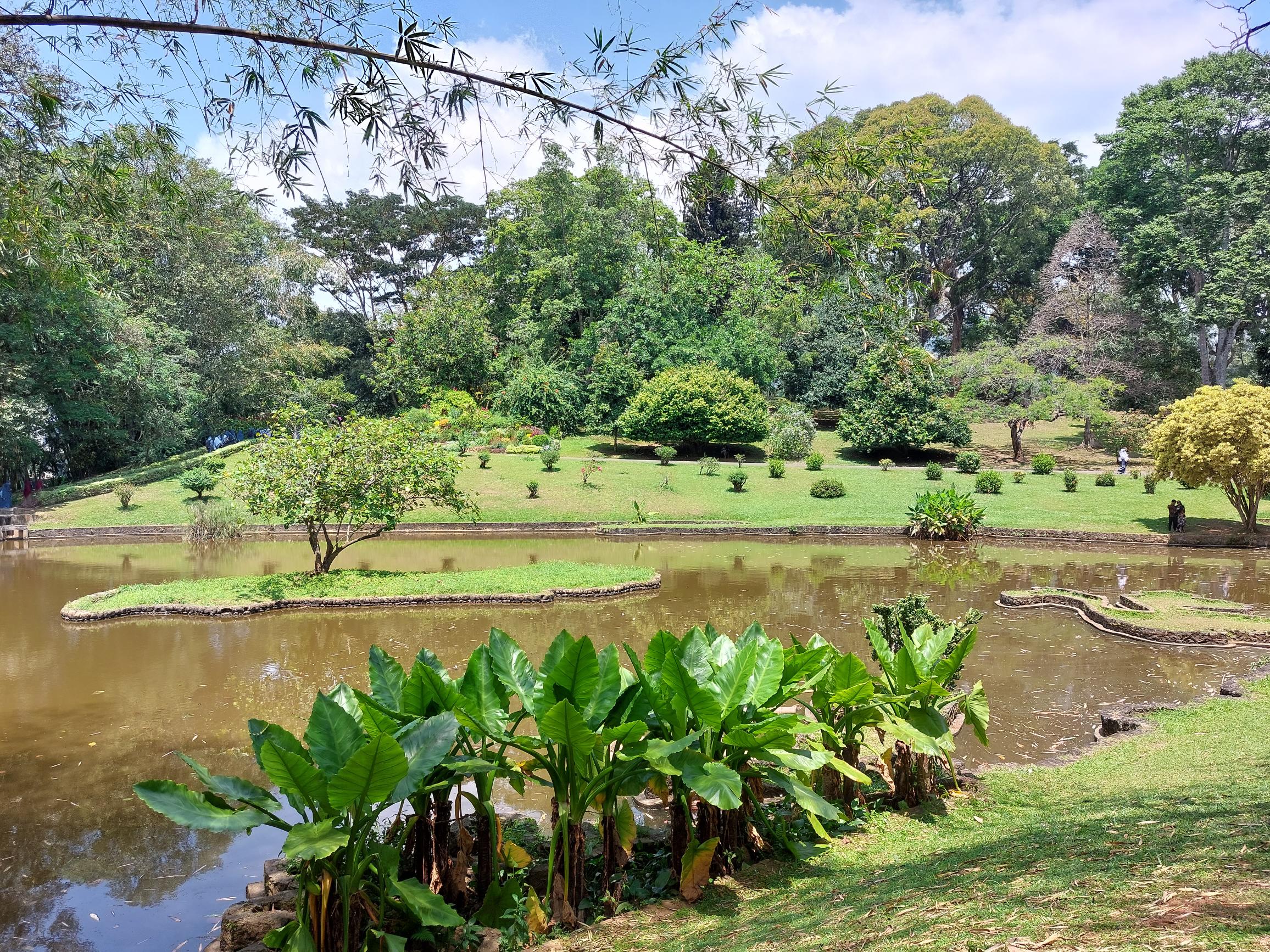 Sri Lanka Central Highlands, Botanical Gardens, Kandy, Bot Gdns 2, Walkopedia