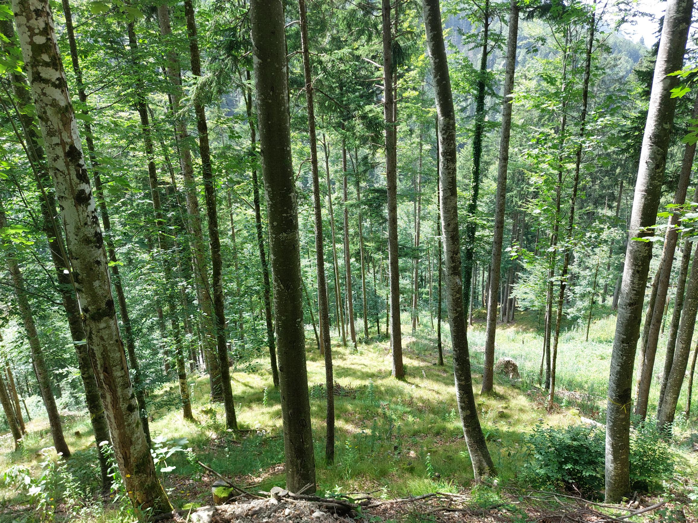Austria Kaisergebirge, Kaisertal, , Walkopedia