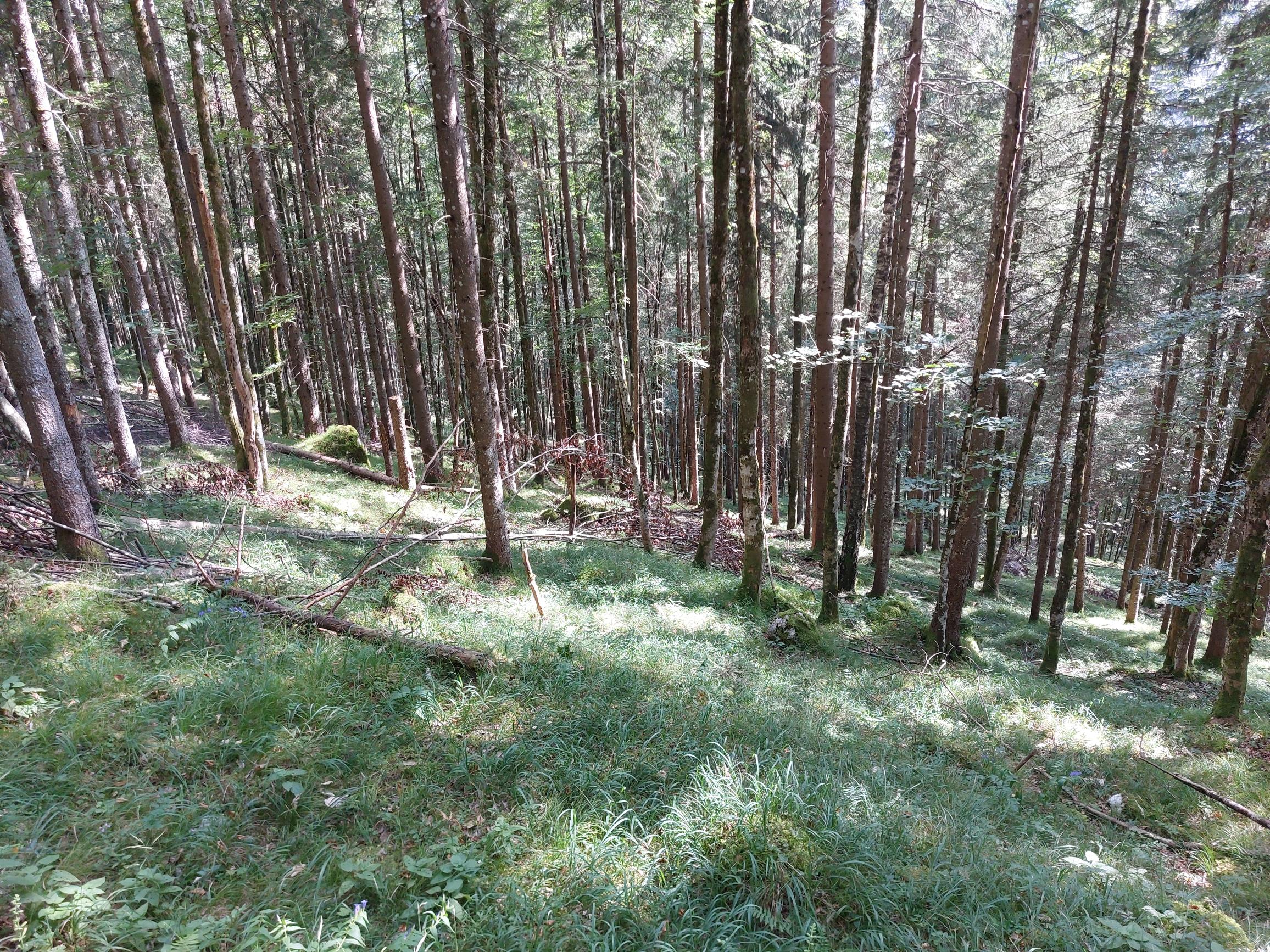 Austria Kaisergebirge, Kaisertal, , Walkopedia