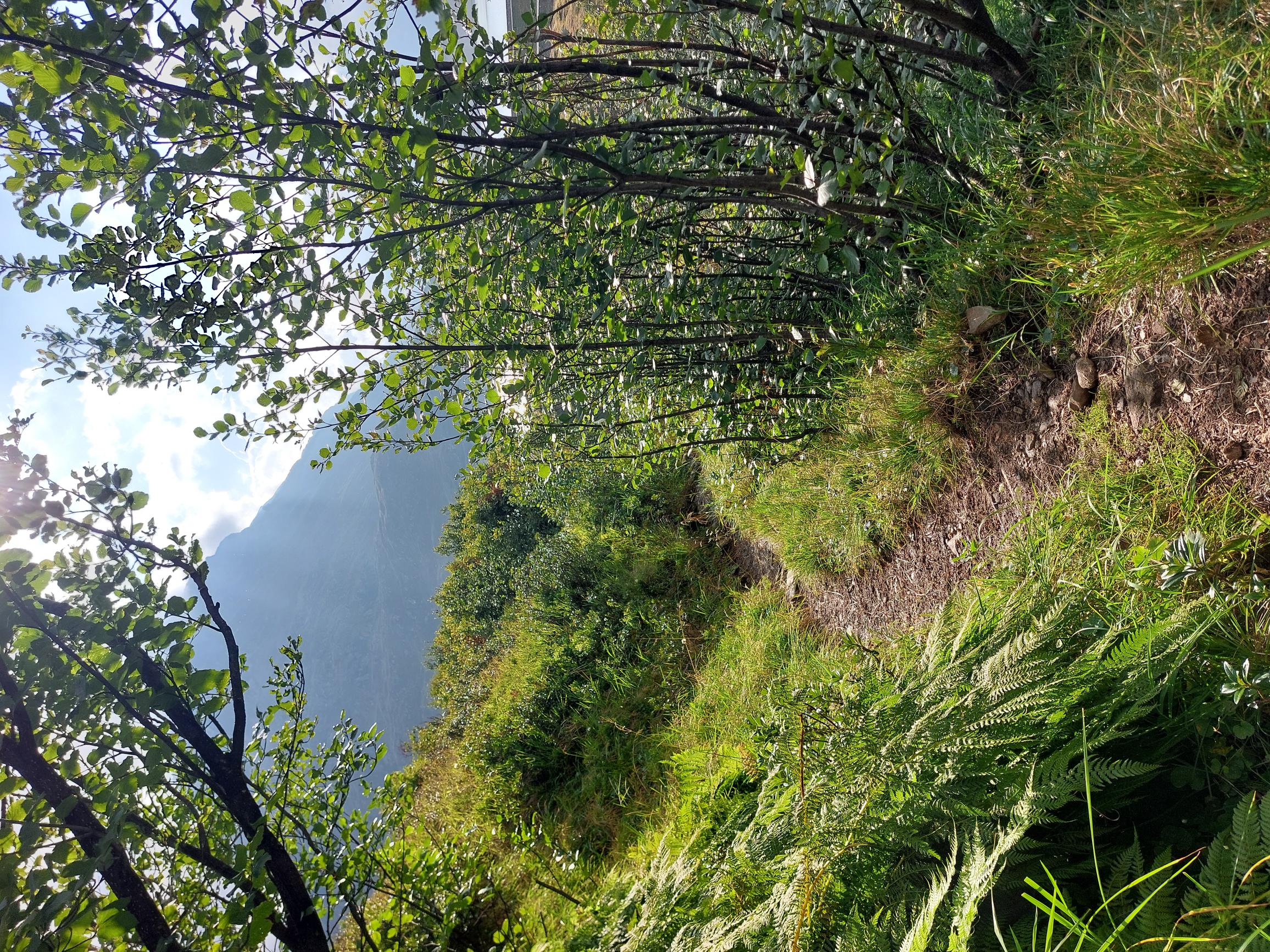 Austria Silvretta Alps, Radsattel Pass Circuit, , Walkopedia