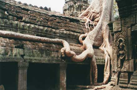 Angkor - - © William Mackesy Angkor - - © William Mackesy
