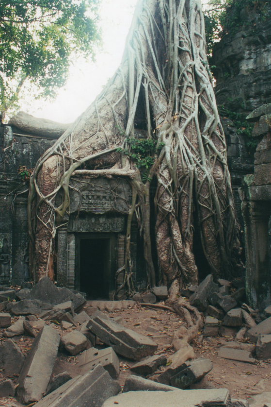 Cambodia, Angkor, Angkor  , Walkopedia