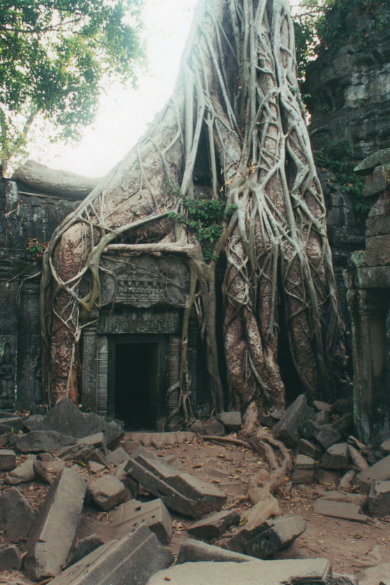 Cambodia, Angkor, Angkor  , Walkopedia