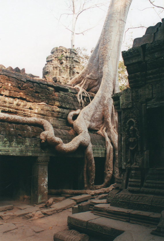 Cambodia, Angkor, Angkor  , Walkopedia