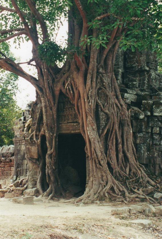 Angkor: Angkor   - © William Mackesy