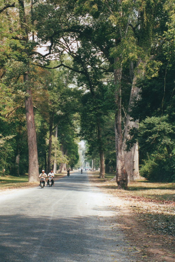 Cambodia, Angkor, Angkor  , Walkopedia