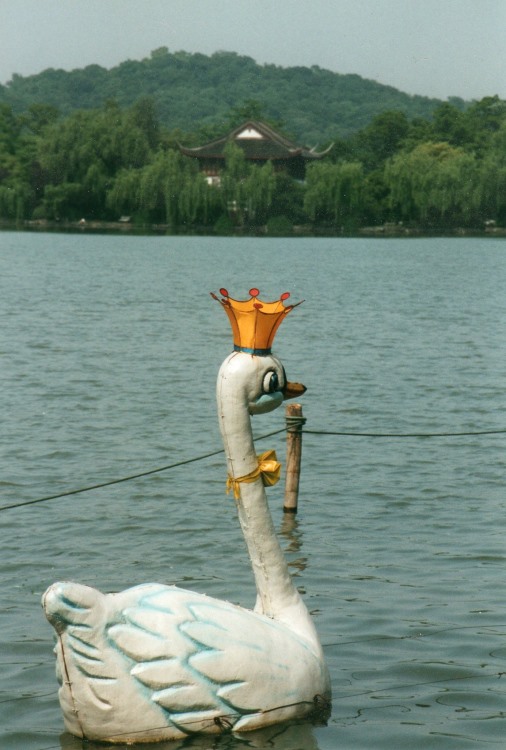 China East Zhejiang, West Lake, Hangzhou, West Lake, Hangzhou, Walkopedia