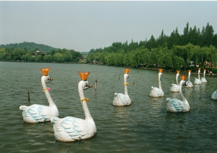 China East Zhejiang, West Lake, Hangzhou, West Lake, Hangzhou, Walkopedia