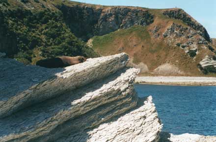 Kaikoura Headland
Kaikoura - © William Mackesy