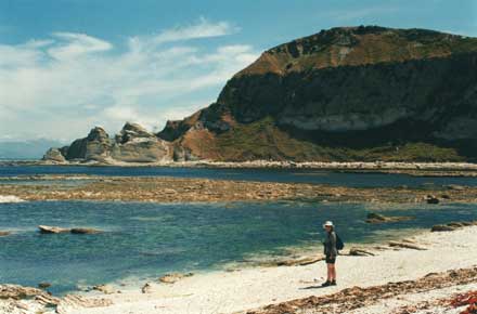 New Zealand South Island, Kaikoura Headland, Kaikoura - , Walkopedia