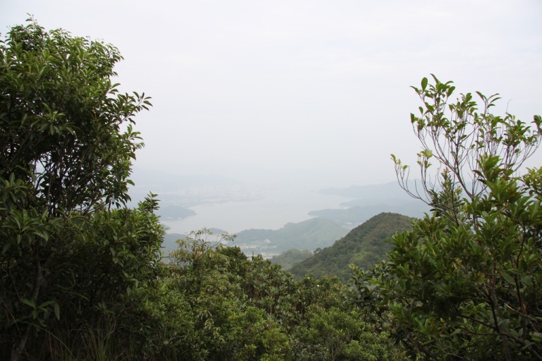 © flickr user- fung1981... Pat Sin Leng: © flickr user- fung1981...