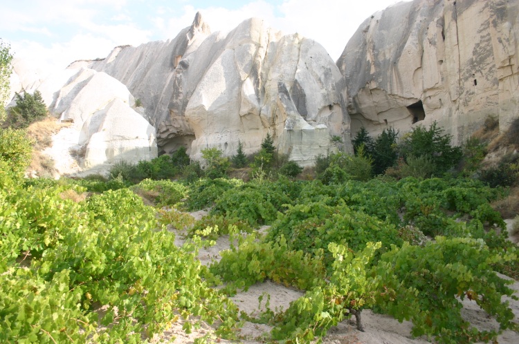 Turkey Central Anatolia Cappadocia, Cappadocia, Vineyard, Rose valley, Walkopedia