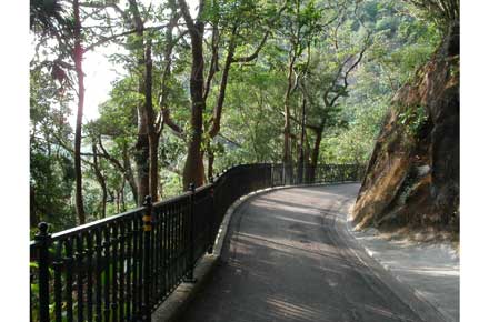 Lugard Road - © William Mackesy Lugard Road - © William Mackesy
