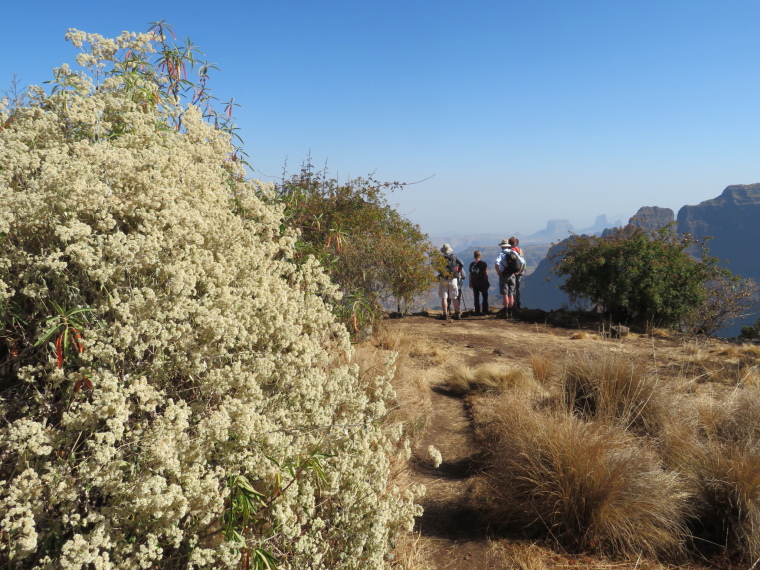 Ethiopia Simien Mts, Simien Mountains, , Walkopedia