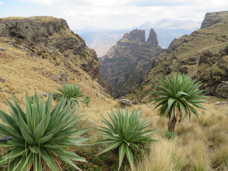 Ethiopia Simien Mts, Simien Mountains, From viewpoint on Imet Gogo ridge, Walkopedia