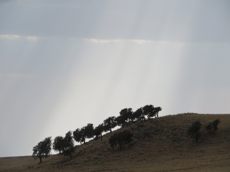 Ethiopia Simien Mts, Simien Mountains, Geech camp , Walkopedia