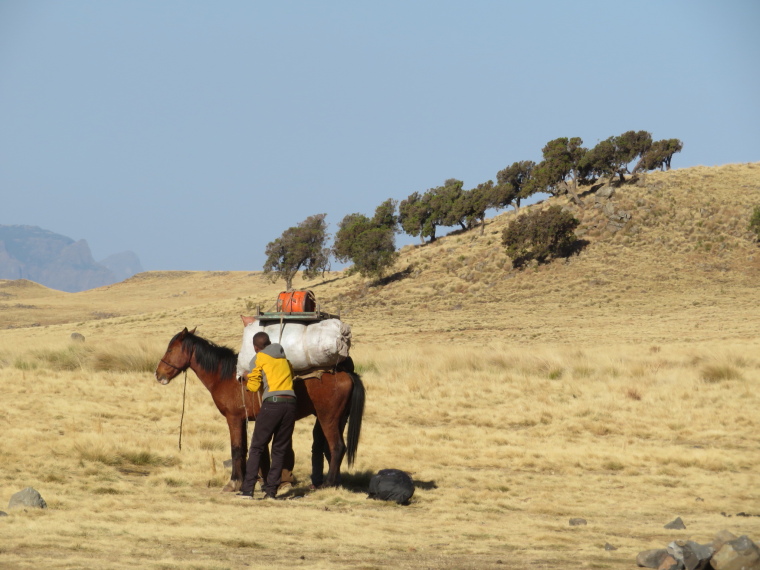 Ethiopia Simien Mts, Simien Mountains, Geech camp, Walkopedia