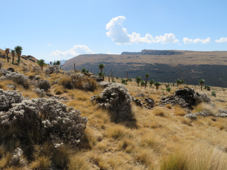 Ethiopia Simien Mts, Simien Mountains, Imet Gogo walk, Walkopedia