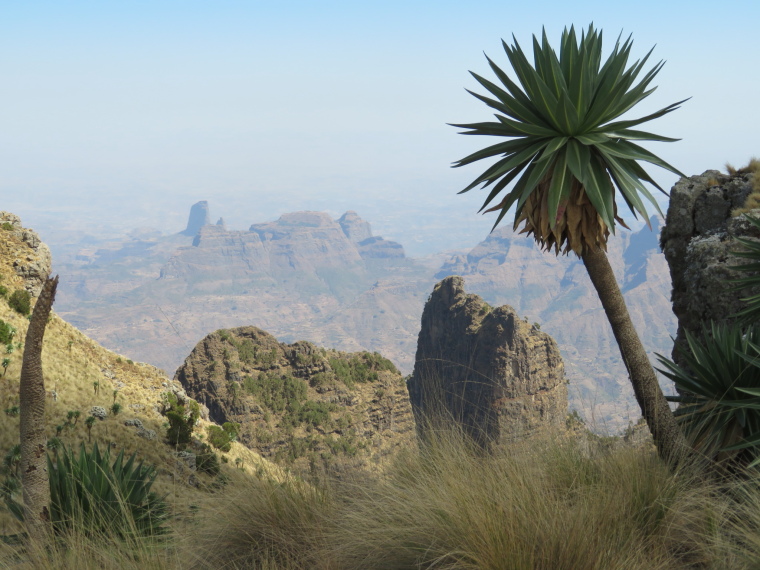 Ethiopia Simien Mts, Simien Mountains, Northish from near Imet Gogo, Walkopedia