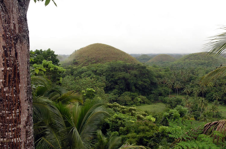 The Philippines Bohol, Chocolate Hills, Chocolate Hills, Walkopedia