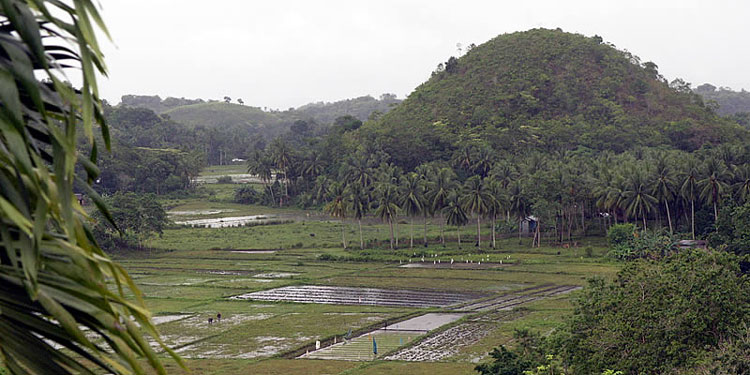 The Philippines Bohol, Chocolate Hills, Chocolate Hills, Walkopedia