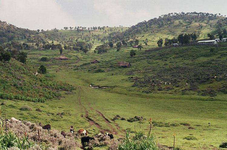 Ethiopia South Bale Mts, Bale Mountains, Bale houses, Walkopedia