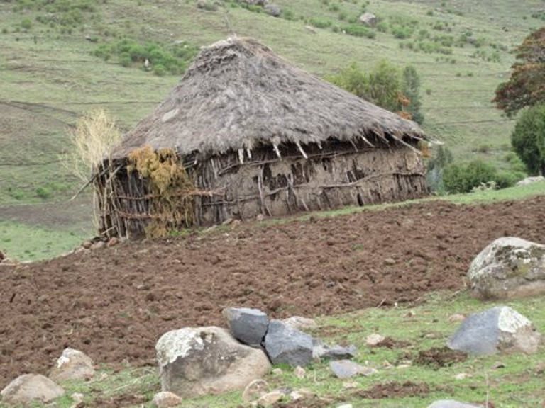 Ethiopia South Bale Mts, Bale Mountains, Ethiopian Farm, Walkopedia