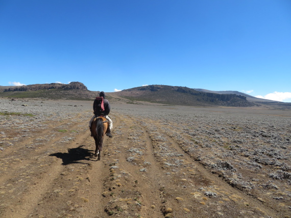 Ethiopia South Bale Mts, Bale Mountains, Huge Sanetti plateau, Walkopedia