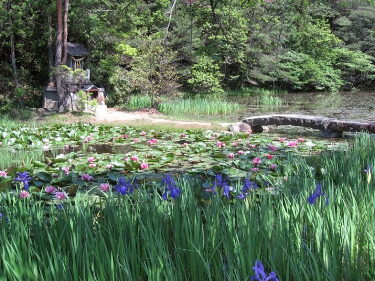 Japan, Nakasendo Way, Benten ike (pond), Walkopedia