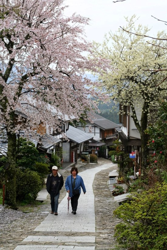 Japan, Nakasendo Way, Cherry blossom in Magome, Walkopedia