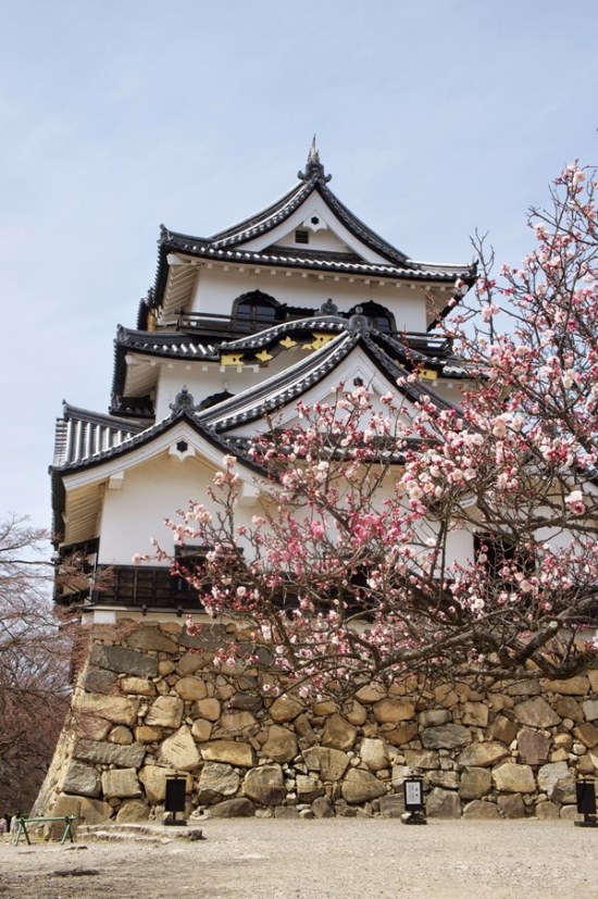 Japan, Nakasendo Way, Hikone castle, Walkopedia