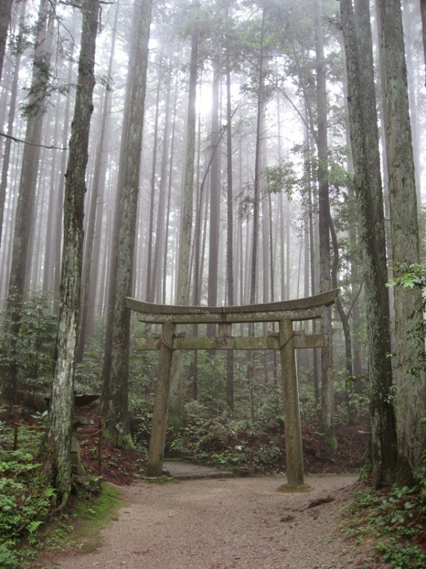 Japan, Nakasendo Way, Torii gate at a shrine near Magome, Walkopedia