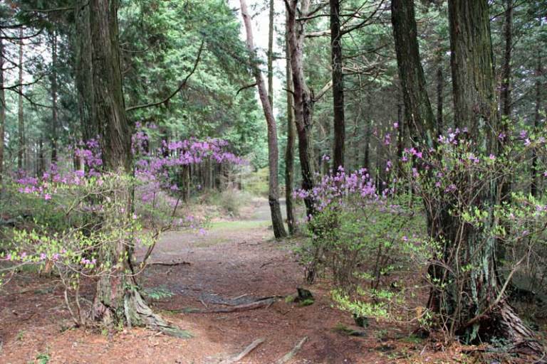 Japan, Nakasendo Way, Trail, Walkopedia