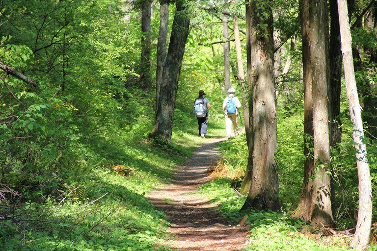 Japan, Nakasendo Way, Walking in Kiso valley, Walkopedia