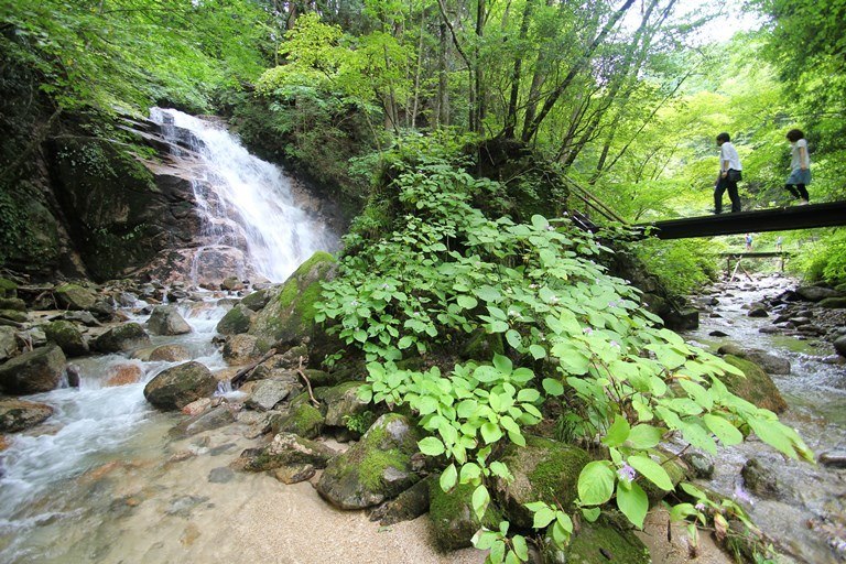 Japan, Nakasendo Way, On the way to O-tsumago, Kiso Valley, Walkopedia